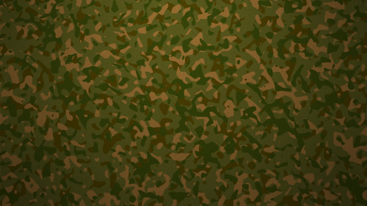 608247 (a): :1920x1080